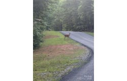 S Pointe Road lot: S 11/12, Mill Spring, NC 28756