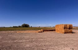 6000 W 200 S, Delta, UT 84624