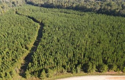 Kilpatrick Rd Tract 1D, Eatonton, GA 31024