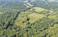 Dogtown Road, Benton, KY 42025