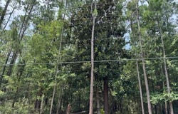 Tunica St, Bay Saint Louis, MS 39520