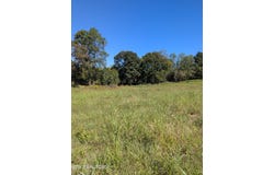 10816 Richland Rd, Mascot, TN 37806