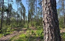 PARKER ISLAND Road, EQUALITY, AL 36026