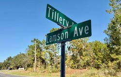 Lamson Avenue, Spring Hill, FL 34608