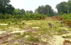 13.4 Acs Chestnut Road, Nathalie, VA 24577
