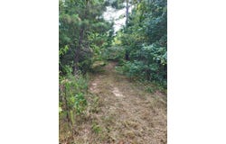 6077 US Hwy 96 N, Bronson, TX 75930