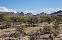 403 Este Rd, Terlingua, TX 79852