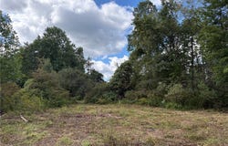 Scribner Road, Pierpont, OH 44082