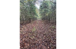 Old Hwy 42 S, Monroe, TN 38573