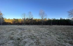 9207 County Line Rd., Nesmith, SC 29580