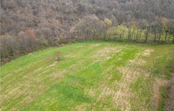 8480 Possum Hollow Road NW, Dundee, OH 44624