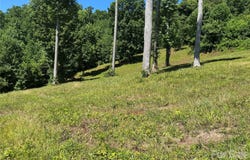 Glen Haven Cove, Edneyville, NC 28792