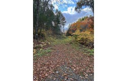 Missing Link Road, Springfield, VT 05156