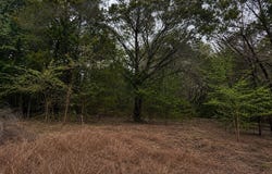 262 Palomino Loop, Whitney, TX 76692