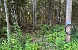 Pine Tree Lane, Boothbay, ME 04537