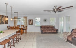 3301 BETHPAGE Loop, MOUNT DORA, FL 32757
