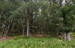 Harris Road, Harris, NY 12742
