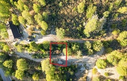 299 Pine Drive, Cedar Glen, CA 92321