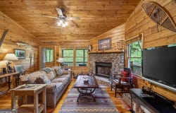 203 Mountain View DR, Cherry Log, GA 30522