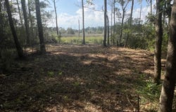 Cedar Lane lot: 4, Belhaven, NC 27810