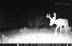 Comanche Hills Dr, Comanche, TX 76442