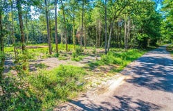 445 County Road 061, Jasper, TX 75951