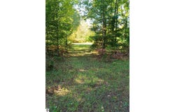13544 Aylsworth Road, Beulah, MI 49617