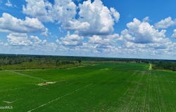 Highway 32, Alma, GA 31510