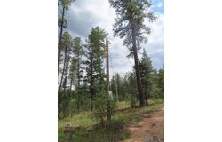 1045 Ctc Ranch Canyon Road, Mora, NM 87732
