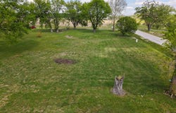 1101 Lincoln Ave, Pacific Junction, IA 51561
