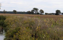 516 N Pingree Road, Sumner, MI 48801