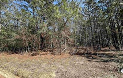 223 Mimosa Drive, Gaston, SC 29053
