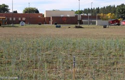 232 Red Devil Dr, Hulett, WY 82720