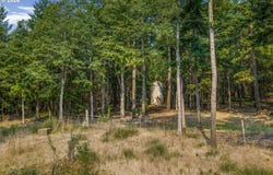 Lyle Snowden Rd, Lyle, WA 98635