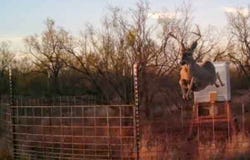 T B D FM 600, Haskell, TX 79521