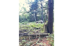 BlackBerry Lane, Biddeford, ME 04005