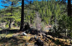 79402 State Highway 3, Trinity Center, CA 96091