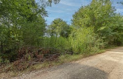 185 Hackberry, Bullard, TX 75757