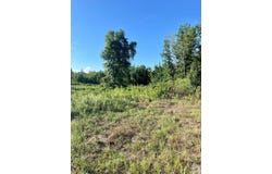 Highway 71, Doddridge, AR 71834