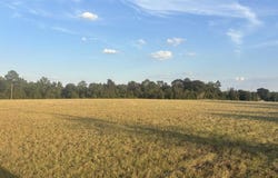63 Hayes Road, Mauk, GA 31058