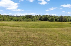 67 Acres S Live Oak Rd, Gilmer, TX 75644