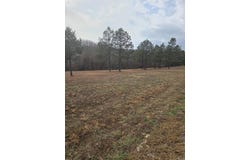 Tournament Drive, Mountain View, AR 72560