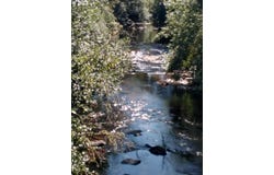 18624 HIGHWAY 36, Blachly, OR 97412