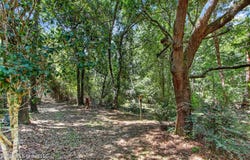 958 Pono Place, Diamondhead, MS 39525