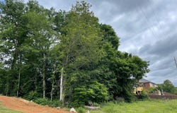 2610 Legacy Preserve Drive, Brownsboro, AL 35741