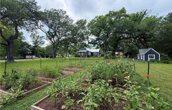 306 5th Ave, Smithville, TX 78957