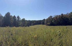 350 Gorby Road, Calico Rock, AR 72519