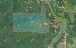 Magic Pine Lane, Mena, AR 71953
