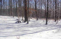 Plank Rd, Natural Bridge, VA 24578