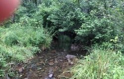 300 Arrow Head, Mountain View, AR 72560